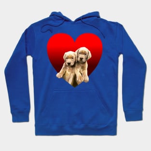 Yellow Golden Labrador Puppies Inside Heart Hoodie